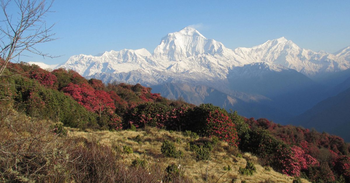 Annapurna Base Camp Trek via Poon Hill 2025 : A Journey Through Nepal’s Unrivaled Beauty Annapurna Base Camp Trek via Poon Hill 2025 : A Journey Through Nepal’s Unrivaled Beauty