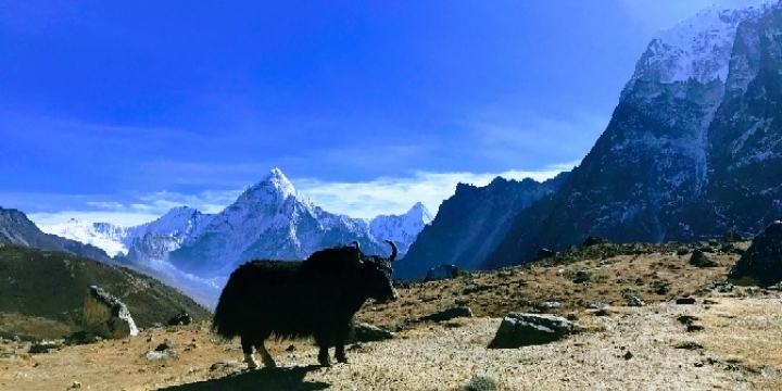 Everest Base Camp Trek in August Everest Base Camp Trek in August