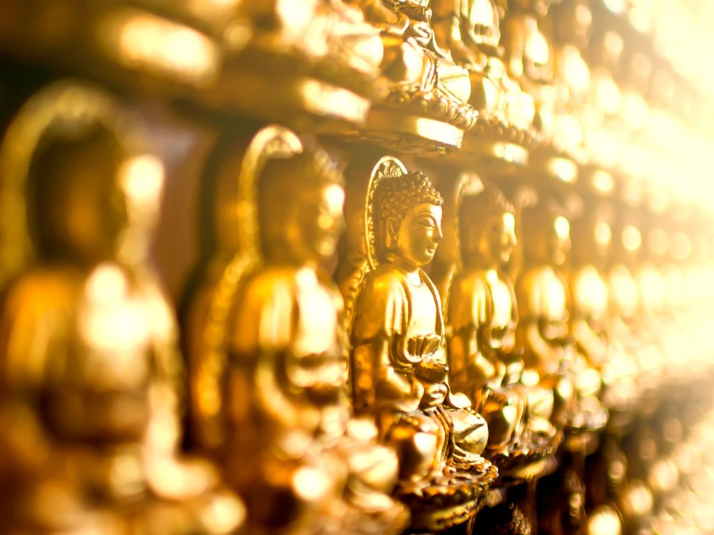 Buddhist Pilgrimage Tour