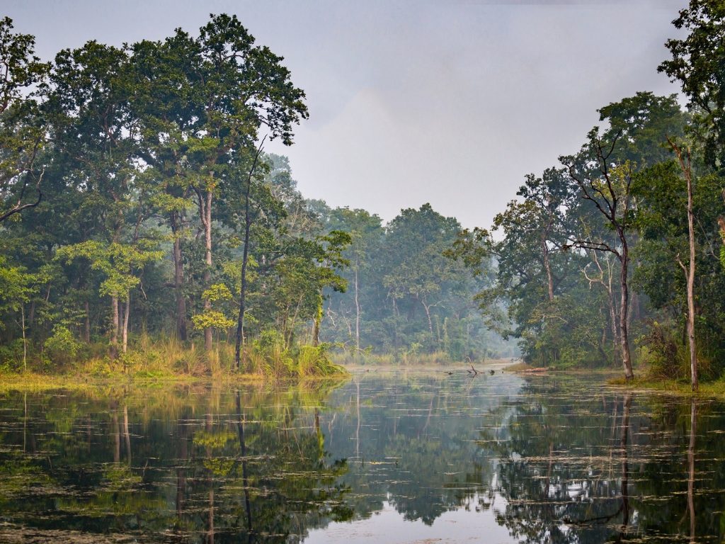 Chitwan jungle safari in Nepal-3 Days