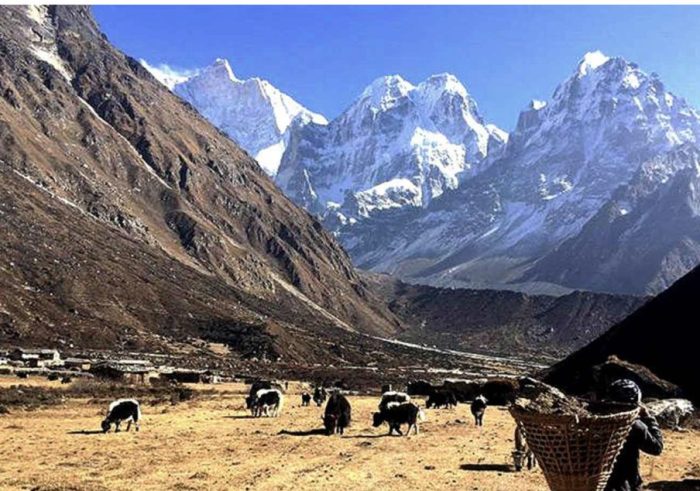 kanchenjunga conservation area of nepal