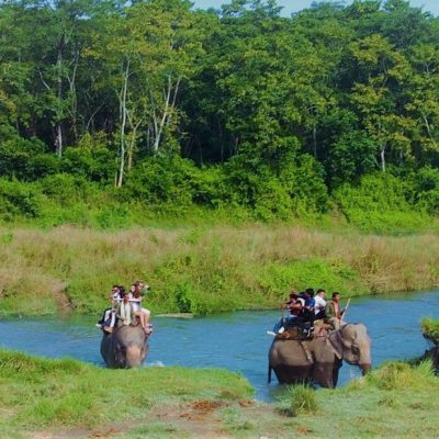 elephant riding