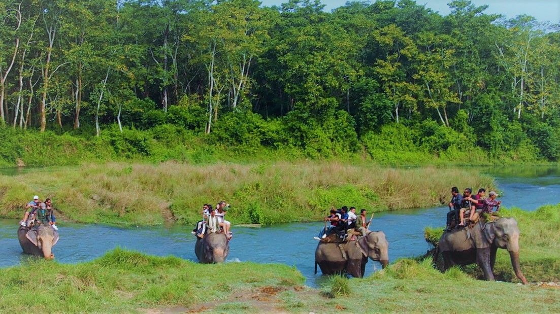 Chitwan jungle safari in Nepal-3 Days